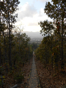 300+ Stairs back