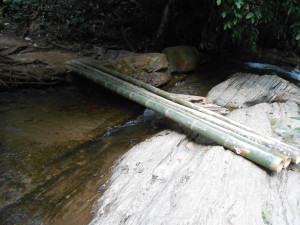 log crossing in SE Asia = bamboo crossing