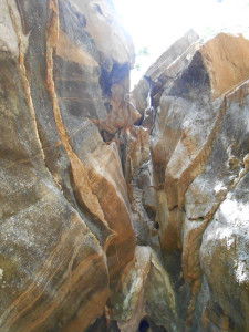 looking up in the cave