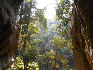 view from the cave