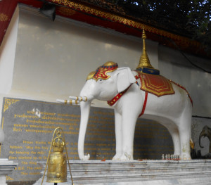 this elephant carried the chedi up the mountain, died there, and that's where they put it. Logical, really.