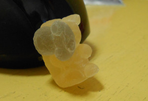 Mutant Gummy