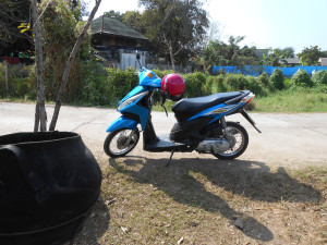 Minivan with new child helmet (small, caucasian head) - Reads 'boy' and has frolicking dolphins. 