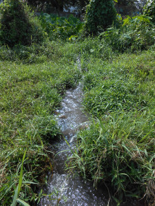 hotsprings