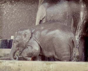 bath time!