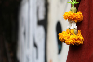 flowers and graffiti