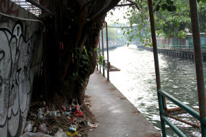 tree with spirit offerings