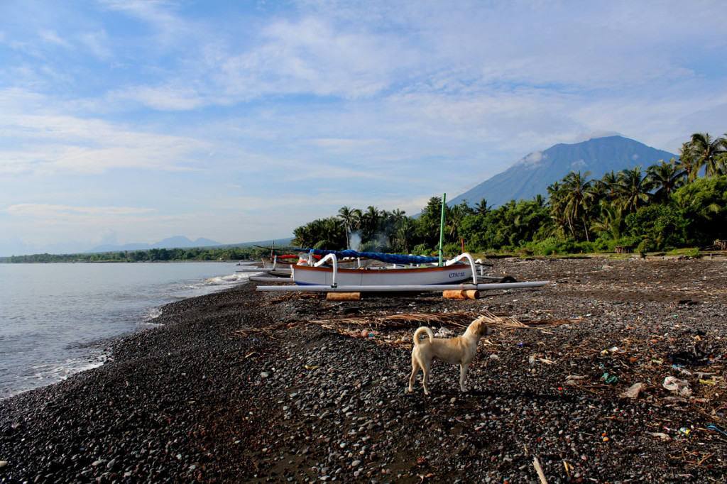 ocean mountain boat dog