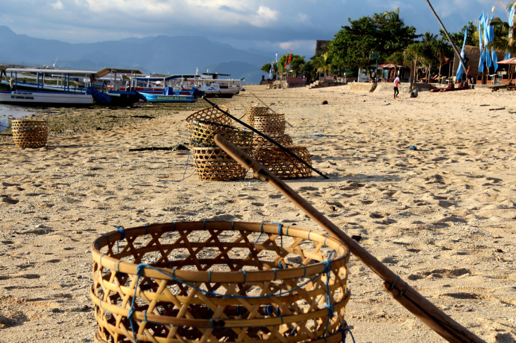 sea weed baskets