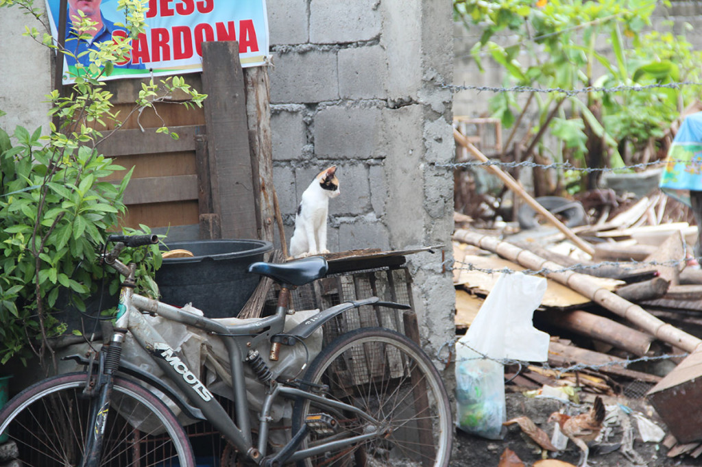 Just down the street - between home and school